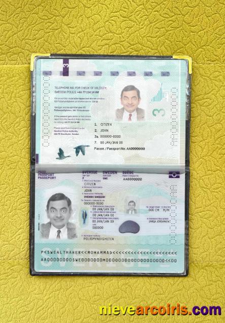 Sweden passport new 2022-present photolook